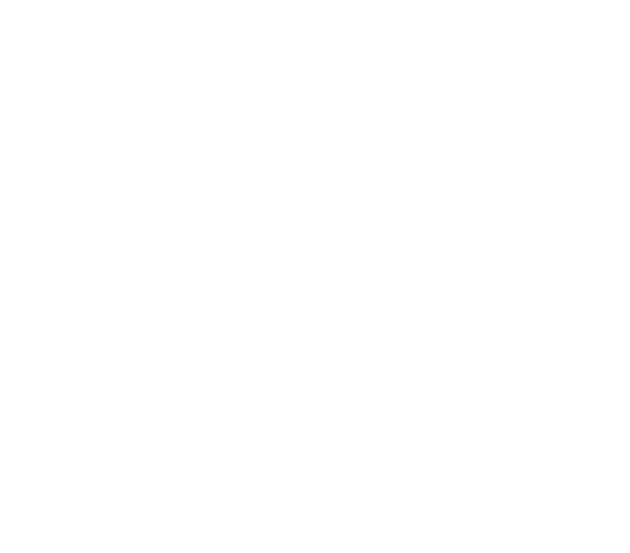 Thales Rebelo logo